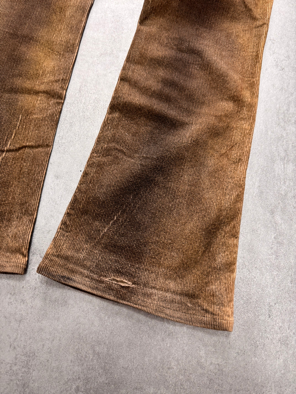 AW2003 Cavalli Waxed Velvet Beige Flaired Pants
