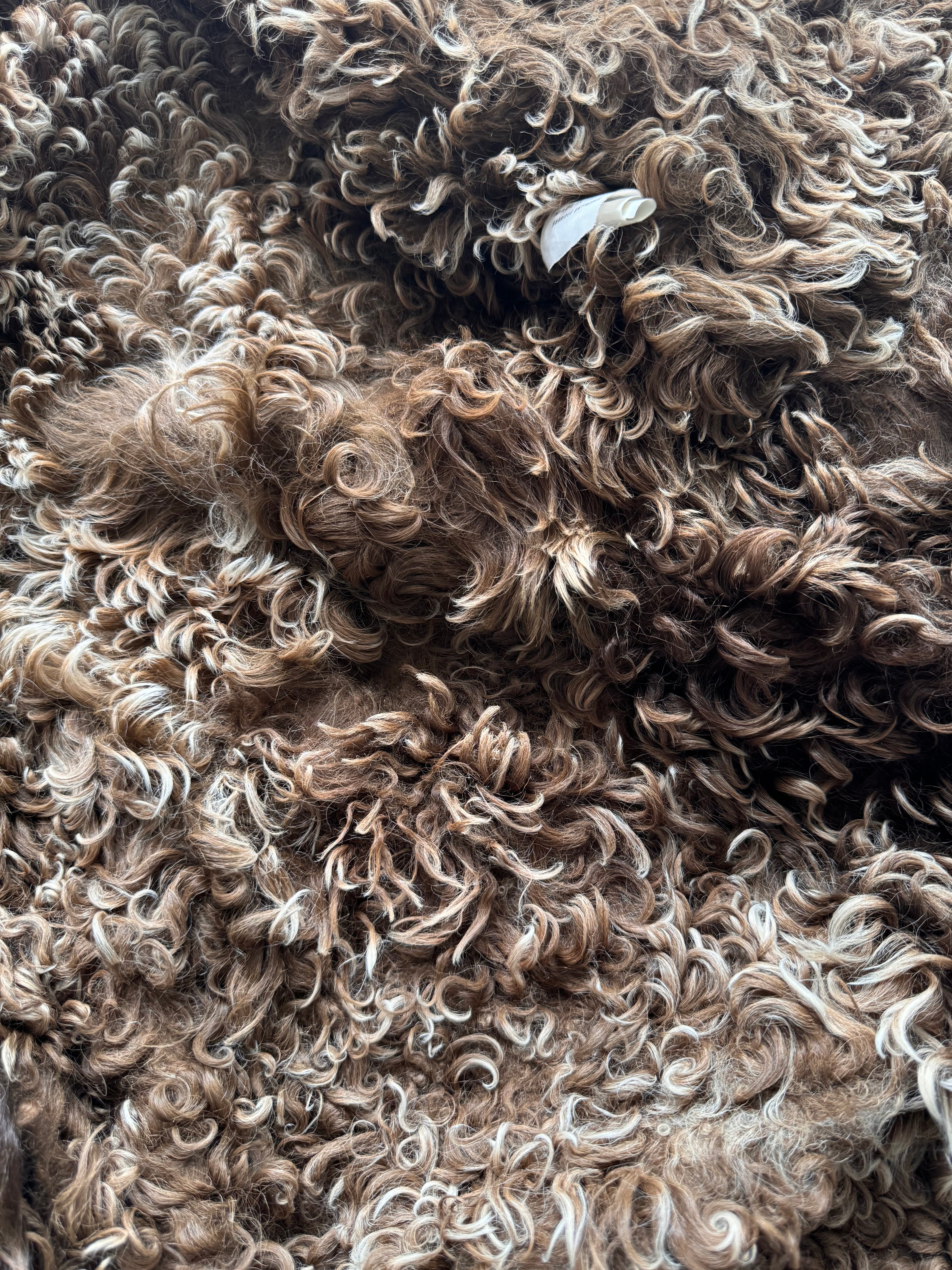 Plein Sud Shearling Long Coat (XS)