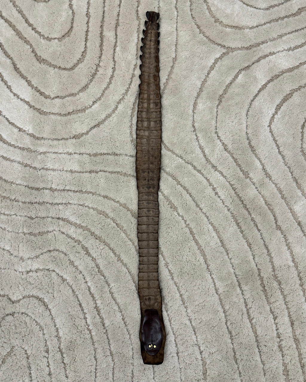 SS2005 Roberto Cavalli Crocodile Leather Belt