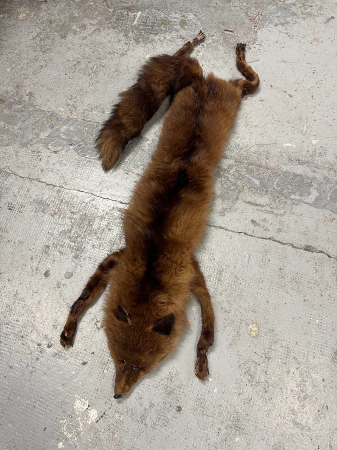 1980s Fox Full Brown Fur Scarf GlDGjsO 0