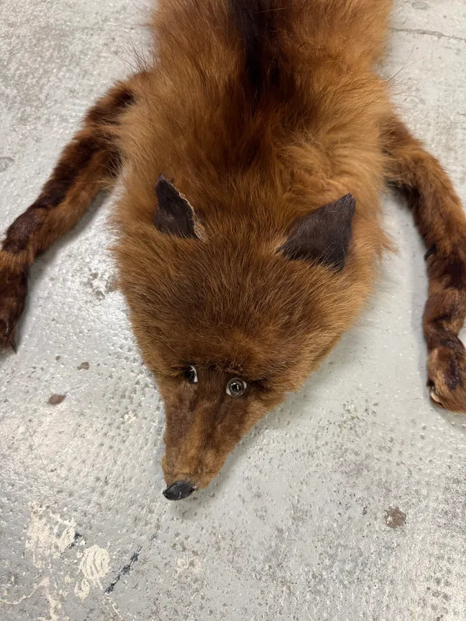1980s Fox Full Brown Fur Scarf GlDGjsO 6