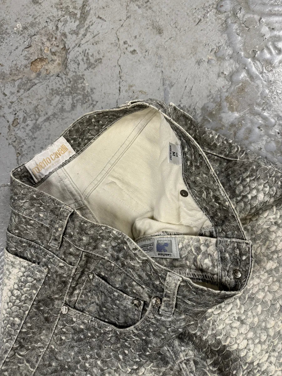 1990s Roberto Cavalli Grey Scales Effect Gradient Pants CxFSleS 11