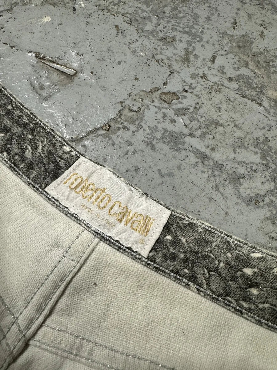 1990s Roberto Cavalli Grey Scales Effect Gradient Pants CxFSleS 9