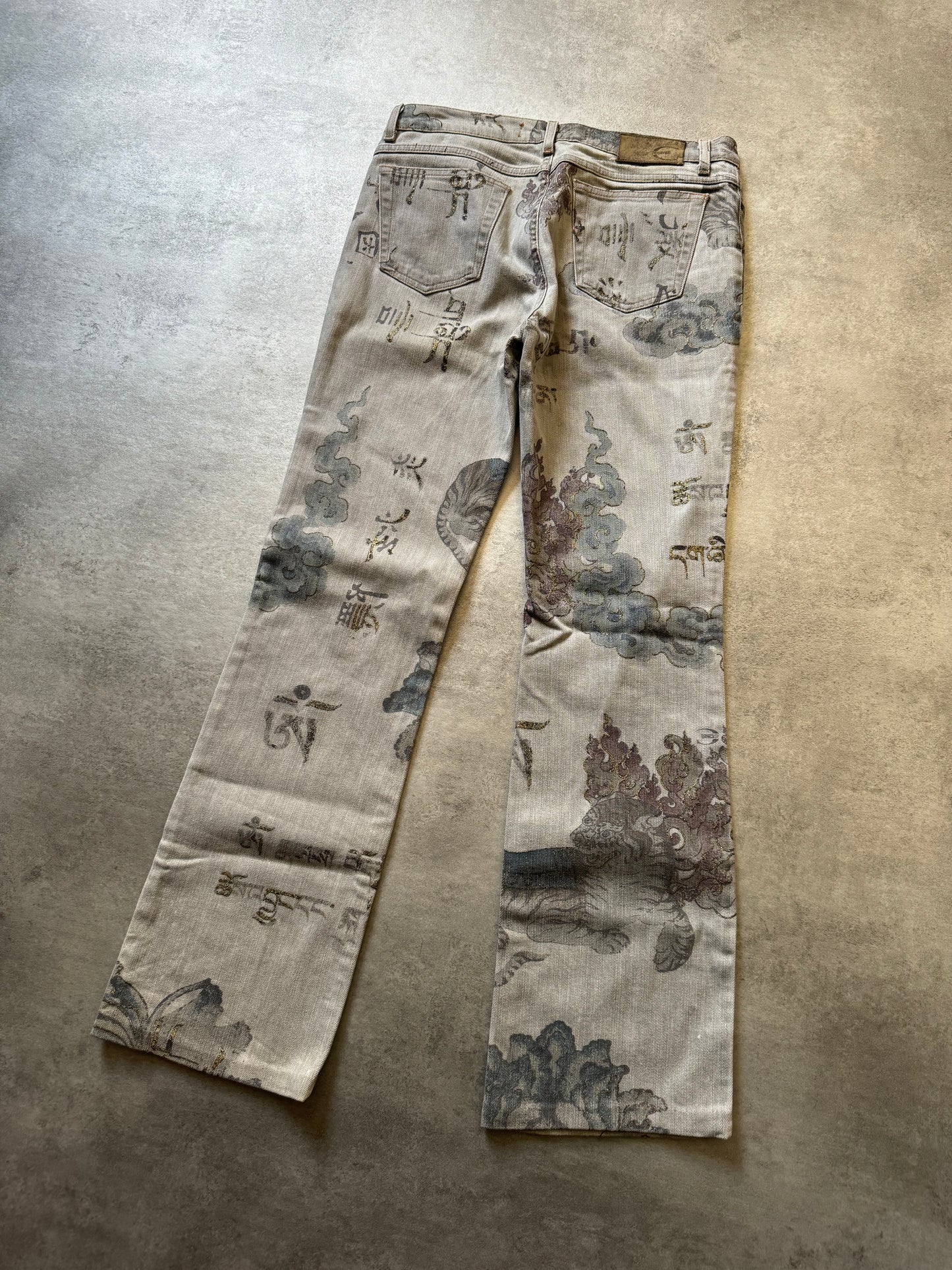 AW2003 Cavalli Asian World Grey Pants  (XS) - 2