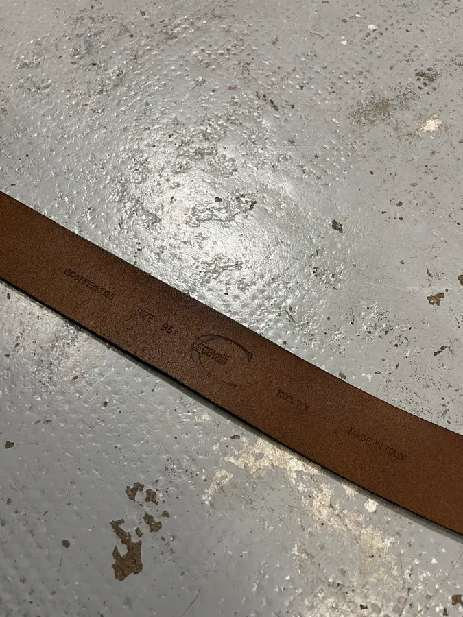 2000s Cavalli Asian Dragon Silver Leather Belt inupkGs 6