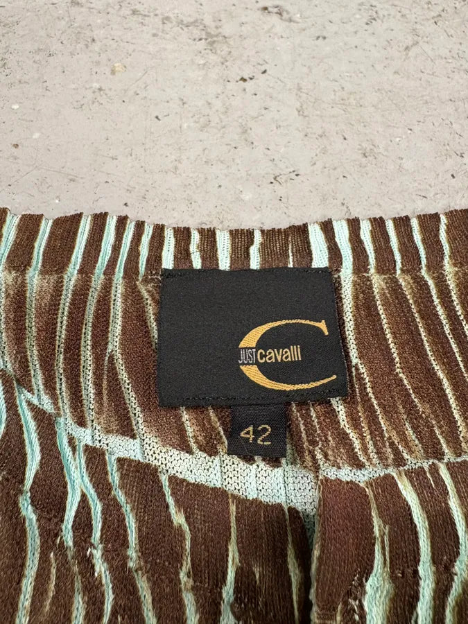 2000s Cavalli Blue Zebra Contemporary Cardigan (S) oMPsuJM 7