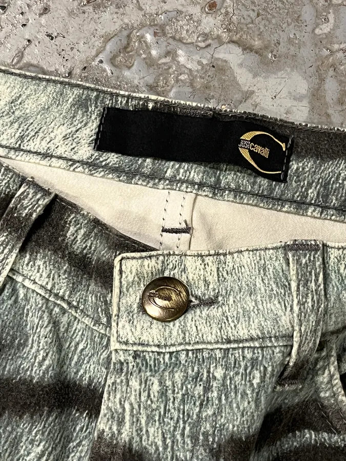 2000s Cavalli Blue Zebra Savage Pants jWpqTwa 10