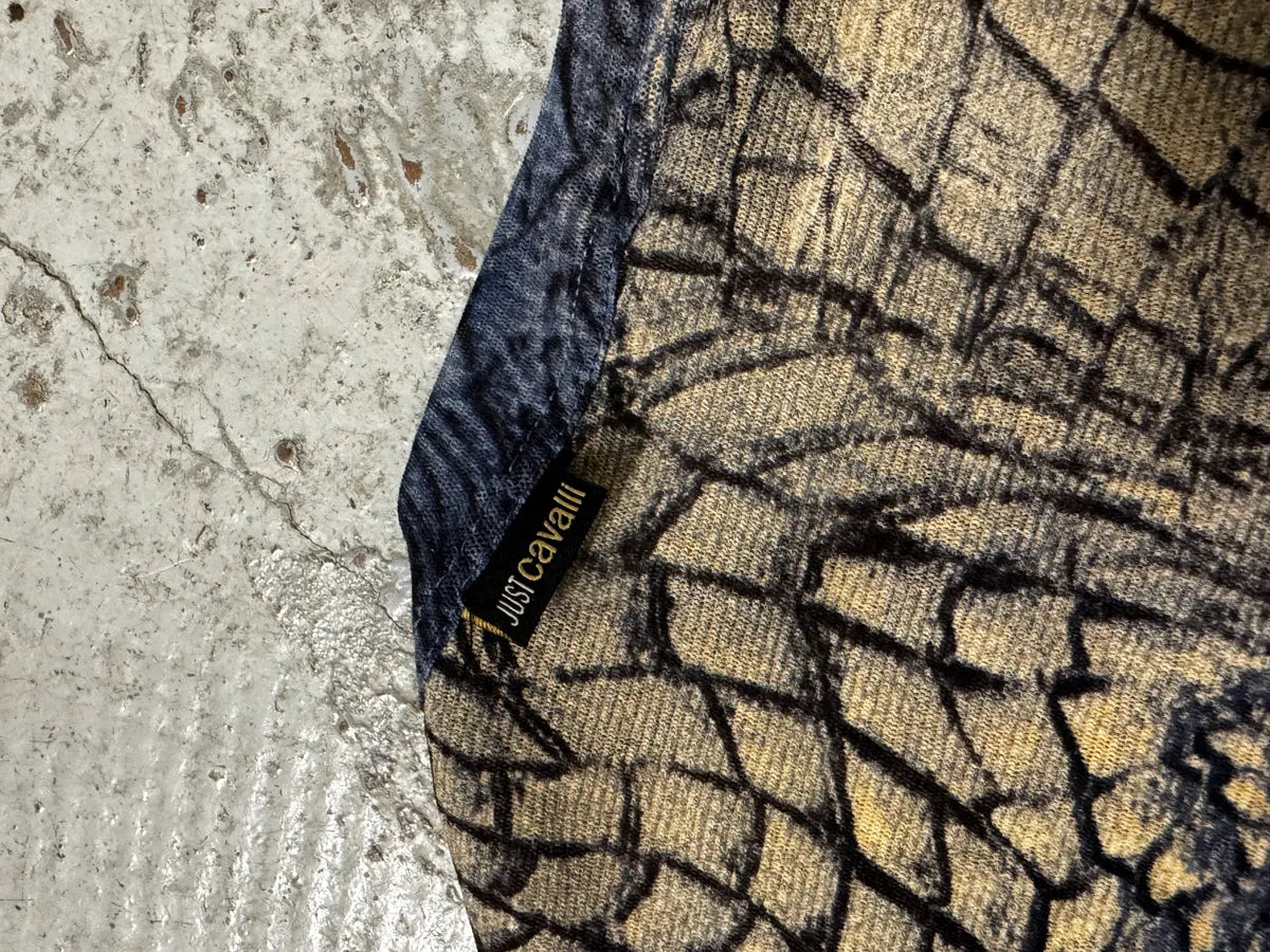 2000s Cavalli Crocodile Hallucination Blue Longsleeves LmXepPa 6