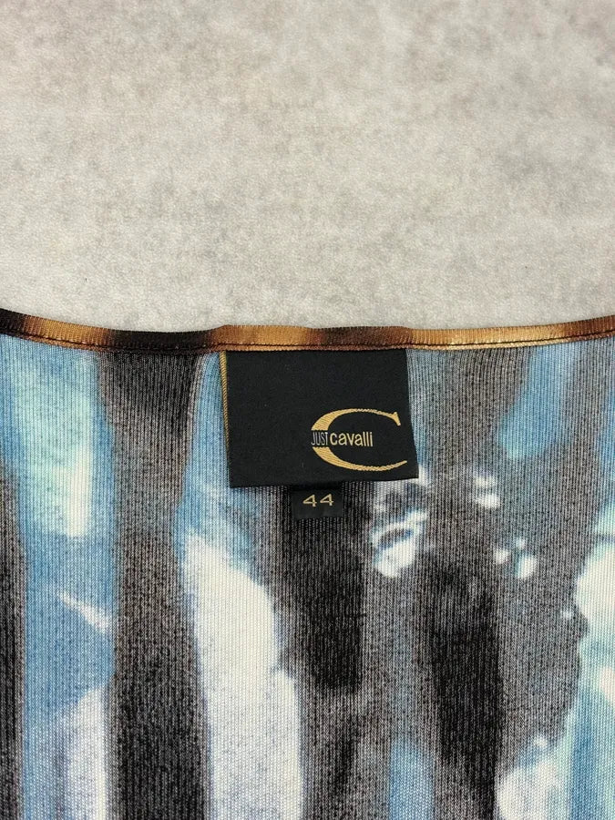 SS2002 Cavalli Psychedelic Floral Brown Striped Dress  cUhCEHC 8