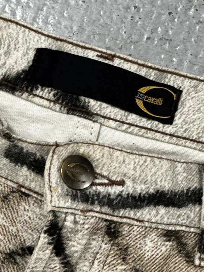 2000s Cavalli White & Beige Savage Zebra Gradient Pants bAeXSIL 10