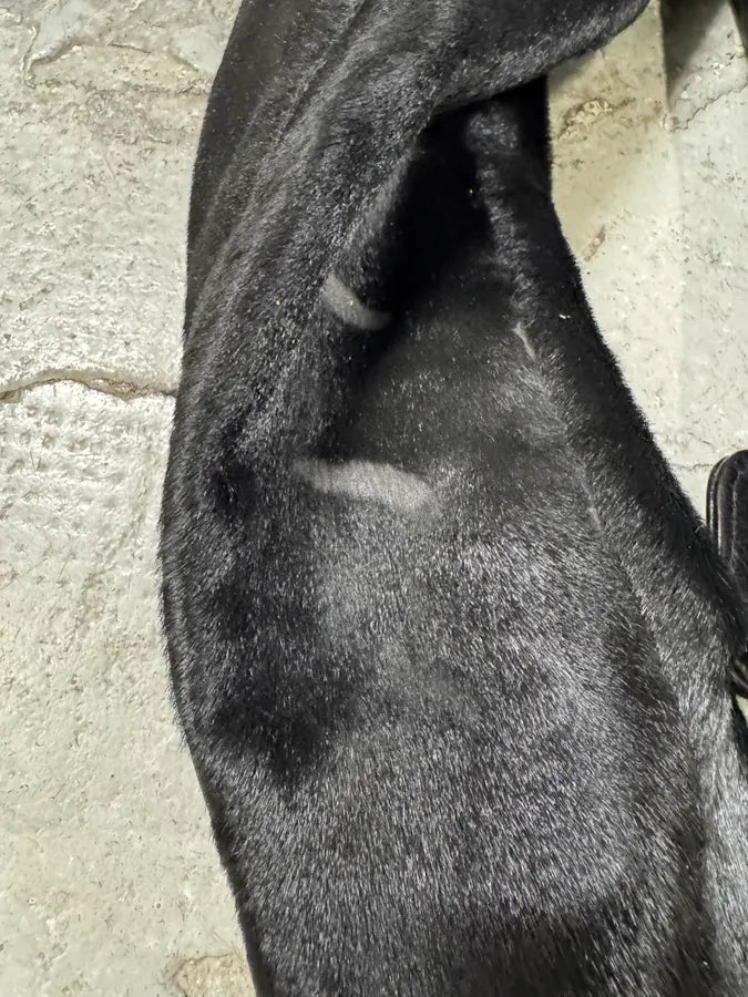 2000s Dolce & Gabbana Black Pony Hair Leather Jacket (XXS) 6