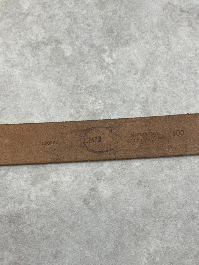 2000s Cavalli Brown Eroded Leather Belt IPpeaUL 6