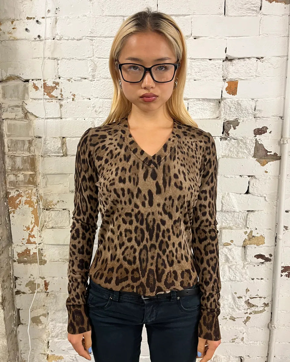 2000s Dolce & Gabbana Brown V-Neck Leopard Sweater lVomiAA 1
