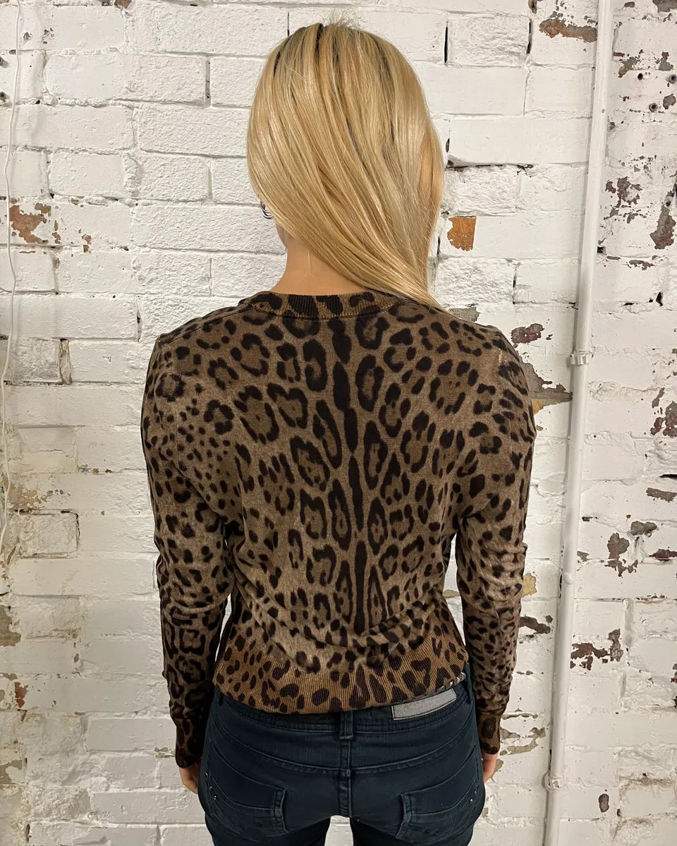 2000s Dolce & Gabbana Brown V-Neck Leopard Sweater lVomiAA 2