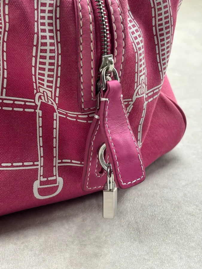 AW2010 Dolce & Gabbana Lily Fuchsia Canvas Trompe Loeil Zip Bag ppEIyNz 10