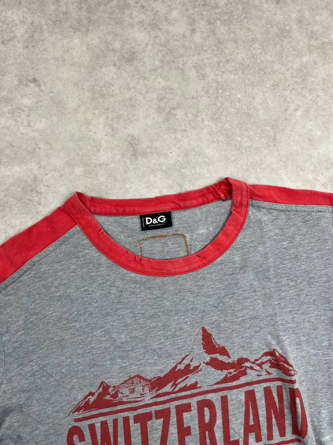 AW2004 Dolce & Gabbana Grey Cropped Switzerland T-Shirt RChCBph 4