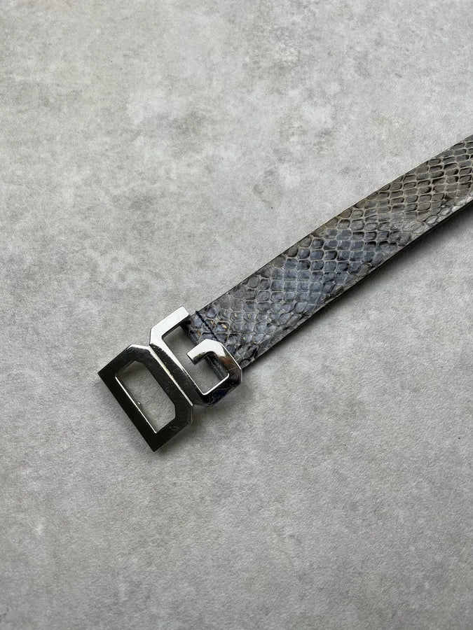 2000s Dolce & Gabbana Python Grey Leather Belt itiOHiu 3