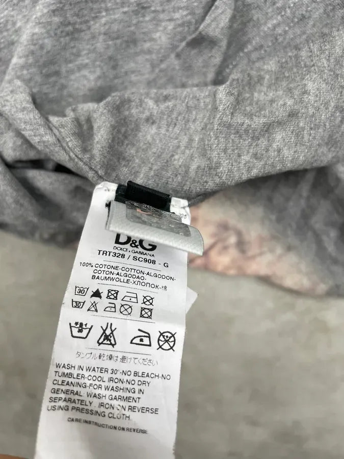 2000s Dolce & Gabbana Grey Lion Kenia Pleasure T-Shirt vtOSGPd 11