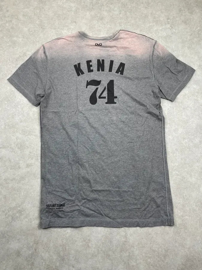 2000s Dolce & Gabbana Grey Lion Kenia Pleasure T-Shirt vtOSGPd 2