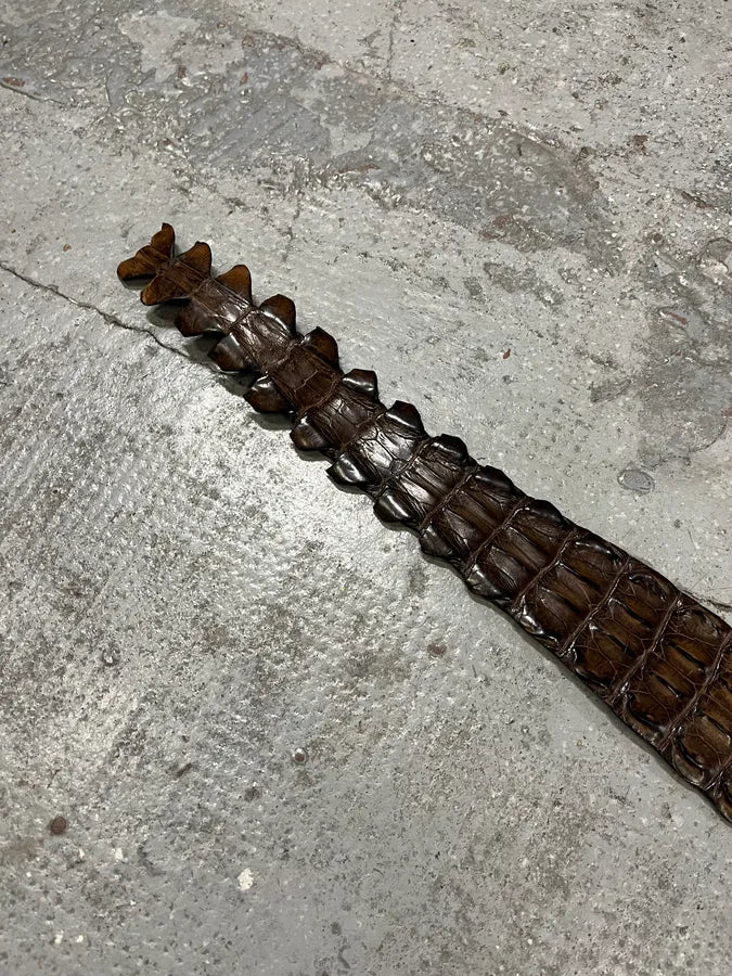 2000s Geniune Crocodile Tale Brown Leather Belt sIAgPXw 2