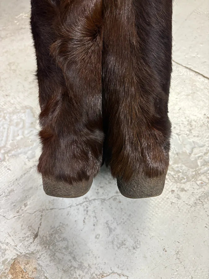 2000s Gucci Brown Fur Scratch Boots VCPqOmW 4