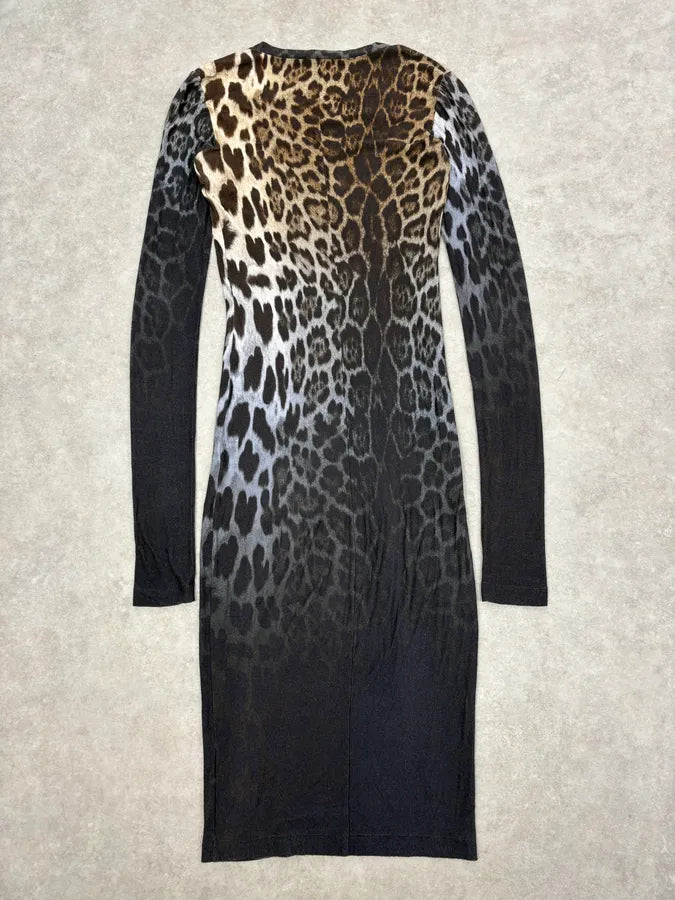 2000s Iceberg Leopard Print Dress JnldCPg 5