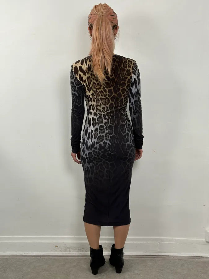 2000s Iceberg Leopard Print Dress JnldCPg 2