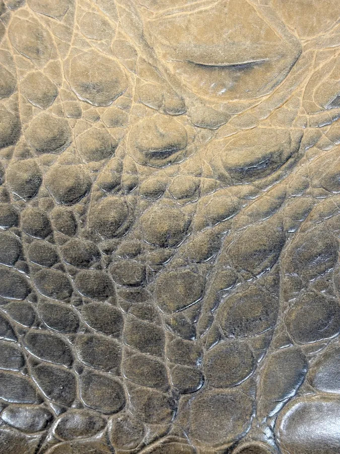 2000s Roberto Cavalli Beige Gradient Crocodile Embossed Leather Wallet nSGJYQz 7