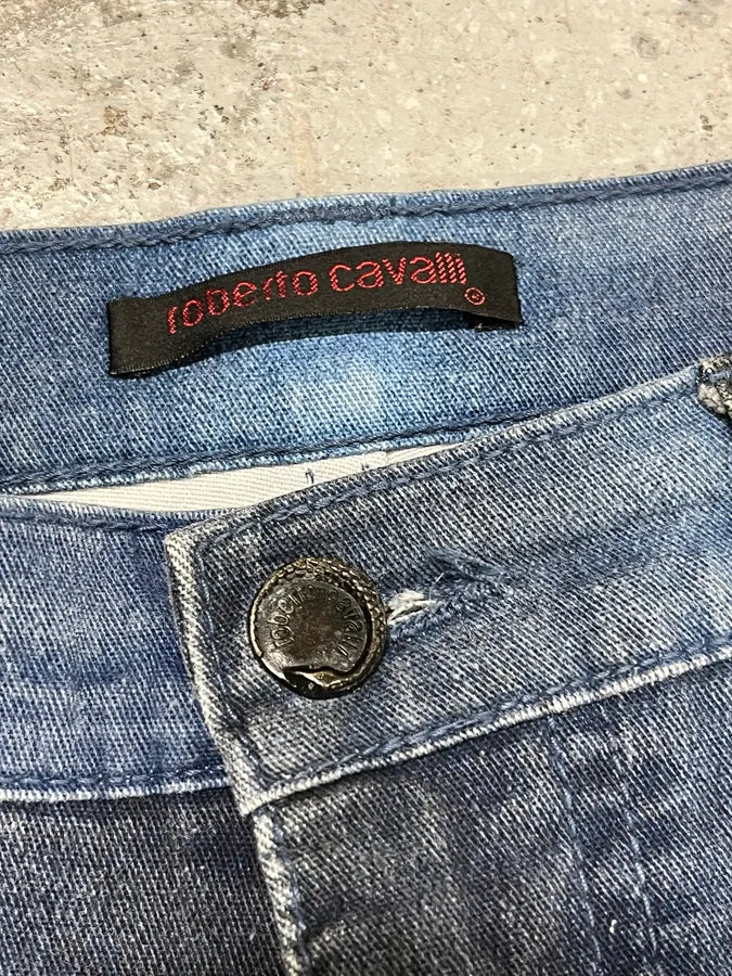 2000s Roberto Cavalli Blue Gradient Pants wAzCPor 11