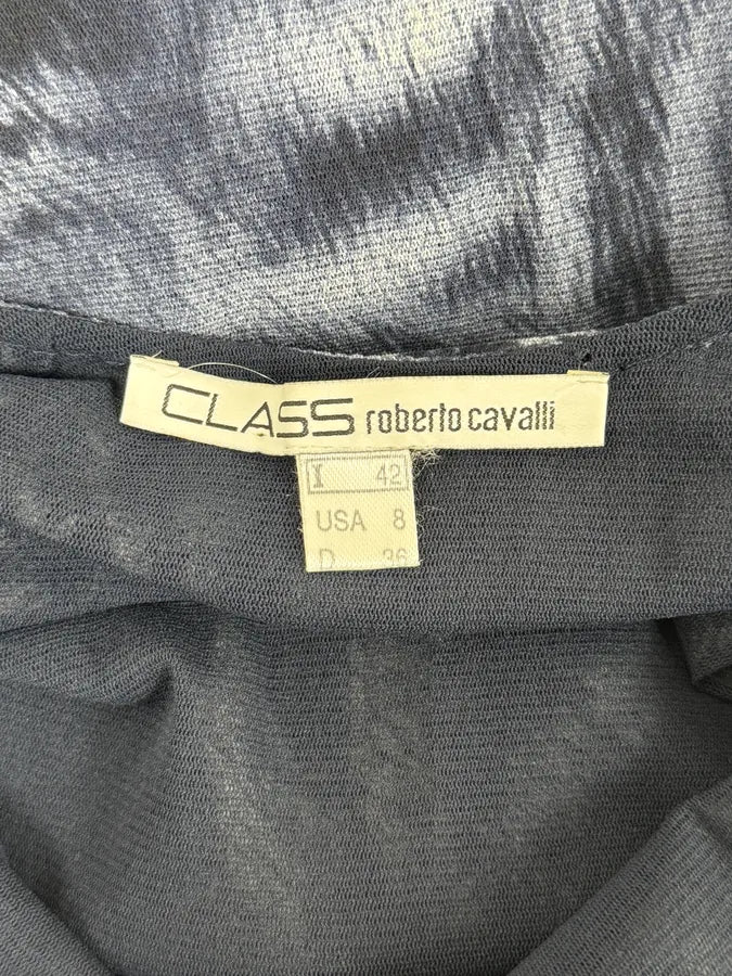 2000s Roberto Cavalli Blue Mesh Zebra Hallucination Dress QFhHcMp 8