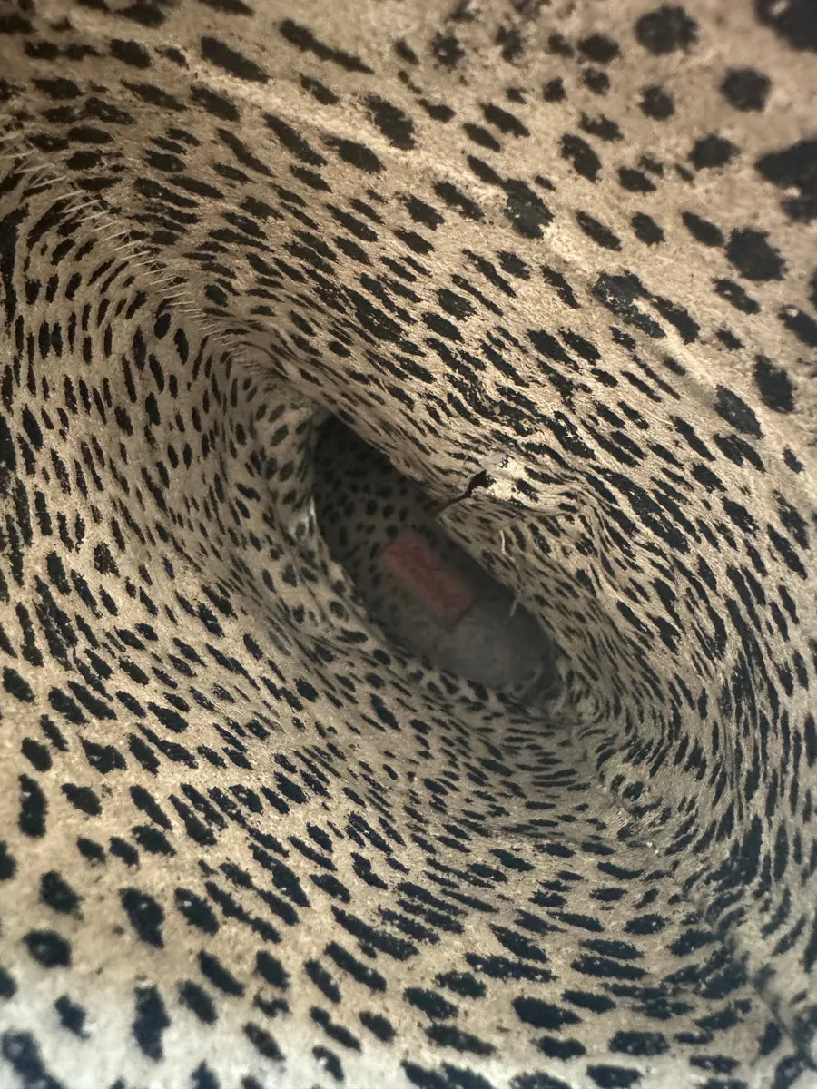 2000s Roberto Cavalli Cow-Boy Glamour Boots mGOxhEq 3