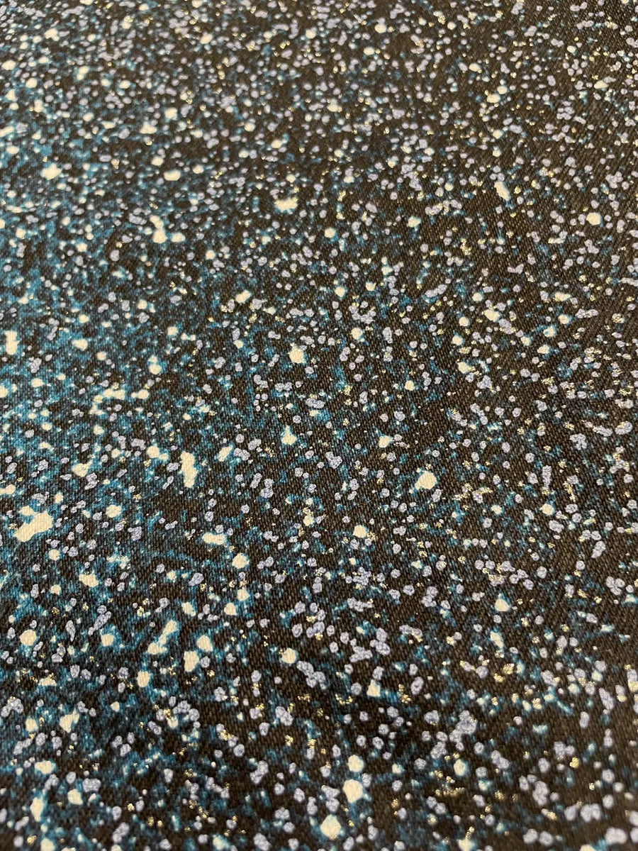 2000s Roberto Cavalli Galaxy Expansion Blue Pants (XS) 3