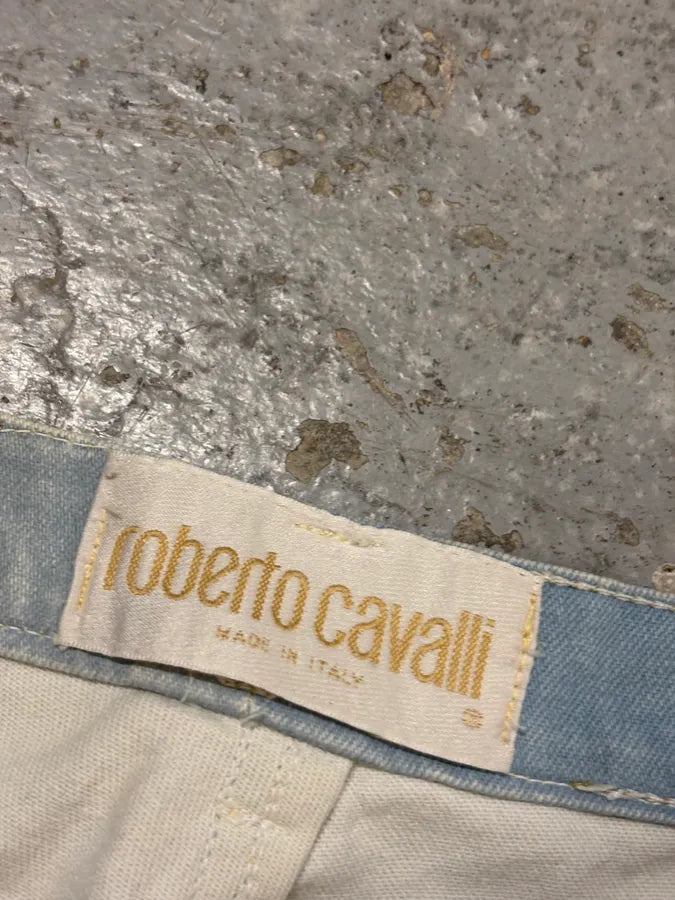 2000s Roberto Cavalli Light Blue Denim Gold Zebra Print Jeans XZToukY 9