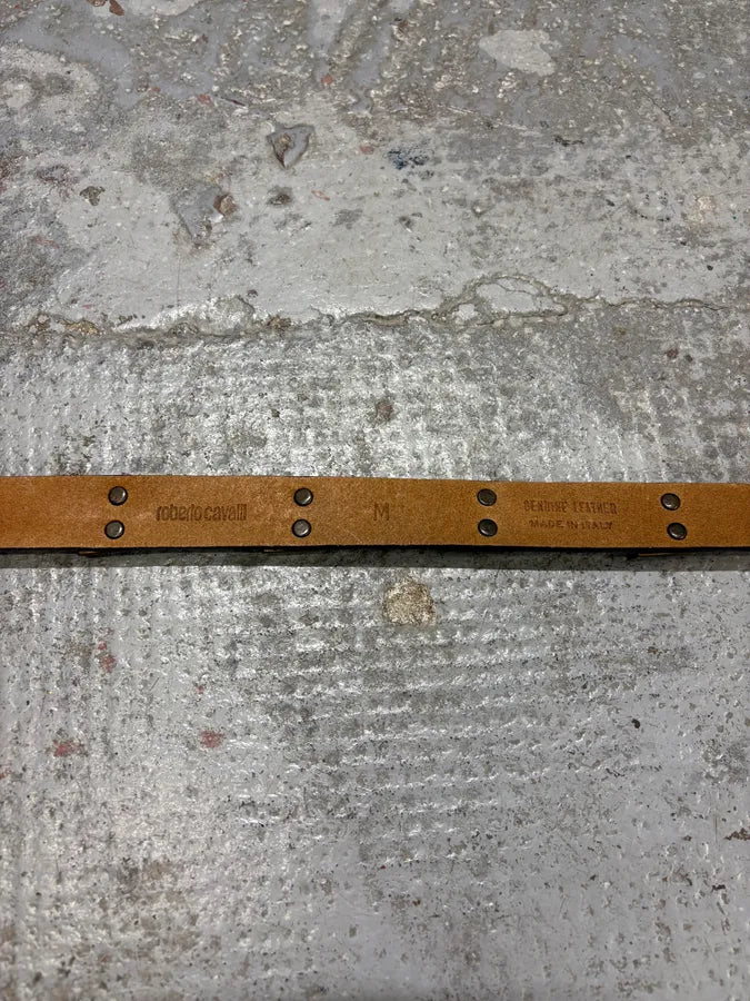 2000s Roberto Cavalli Metal Snake Leather Brown Belt ksFTbBs 7