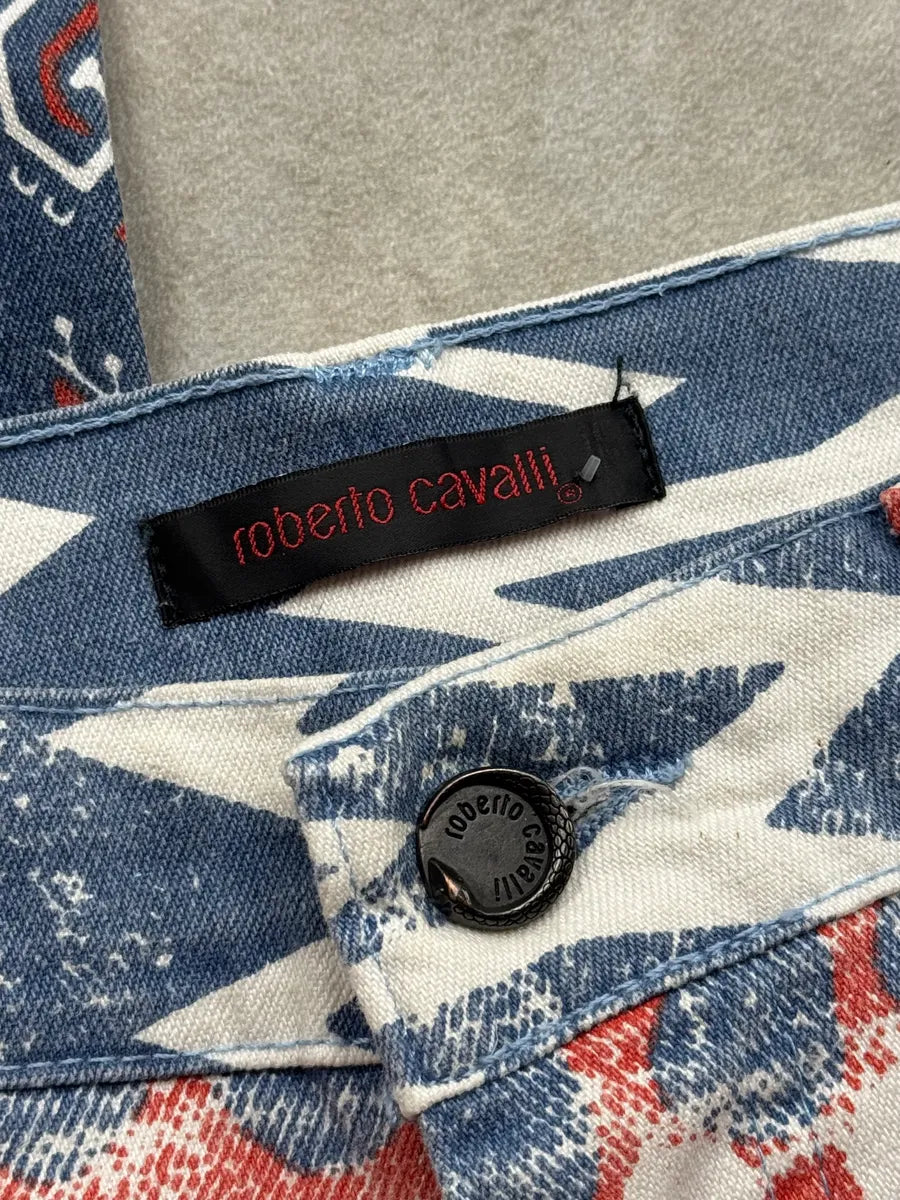 2000s Roberto Cavalli Red & Blue Faded Paisley Pants bHgtJOx 12