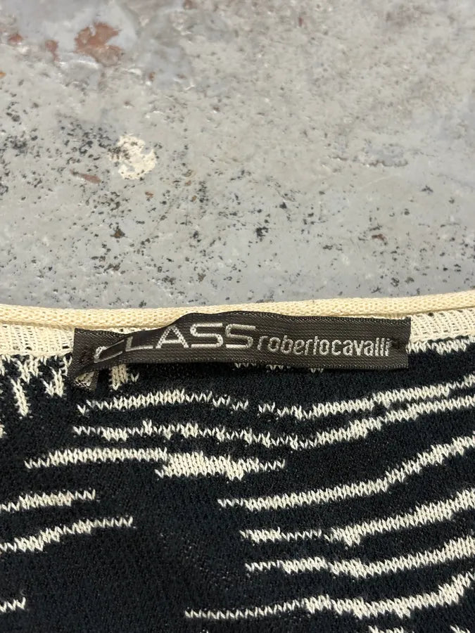 2000s Roberto Cavalli Safari White & Camel Zebra Longsleeves MdOzYiK 4