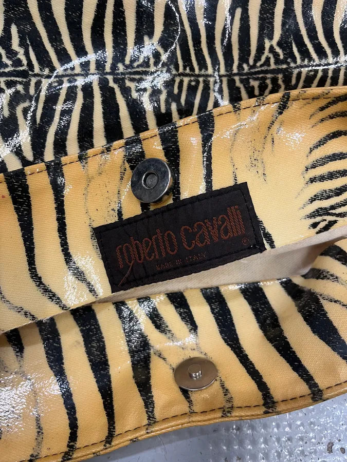 2000s Roberto Cavalli Zebra Print Handle Bag AFxDbkH 8