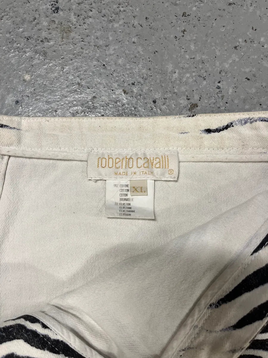 2000s Roberto Cavalli Zebra Skirt vzHElHm 5