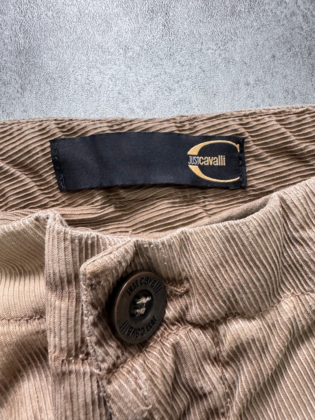 AW2006 Cavalli Cargo Velvet Beige Pants