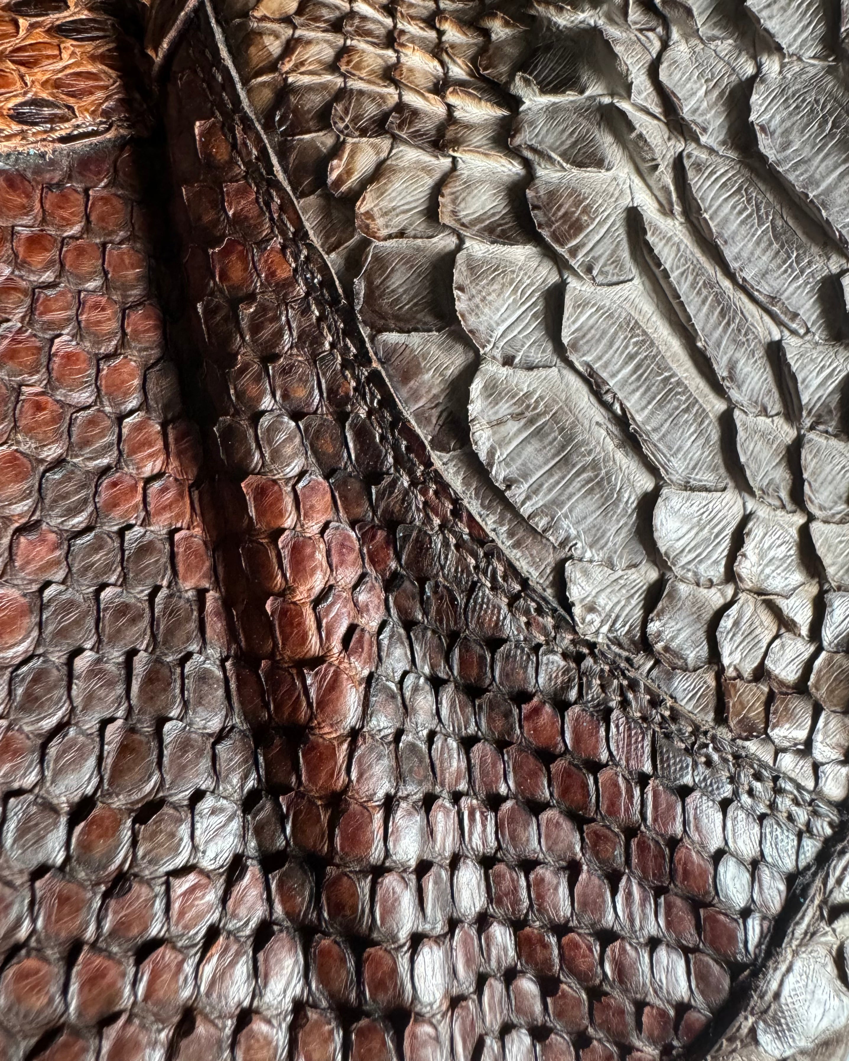 AW2003 Roberto Cavalli Python Leather Cow-Boy Boots  (42) - 3