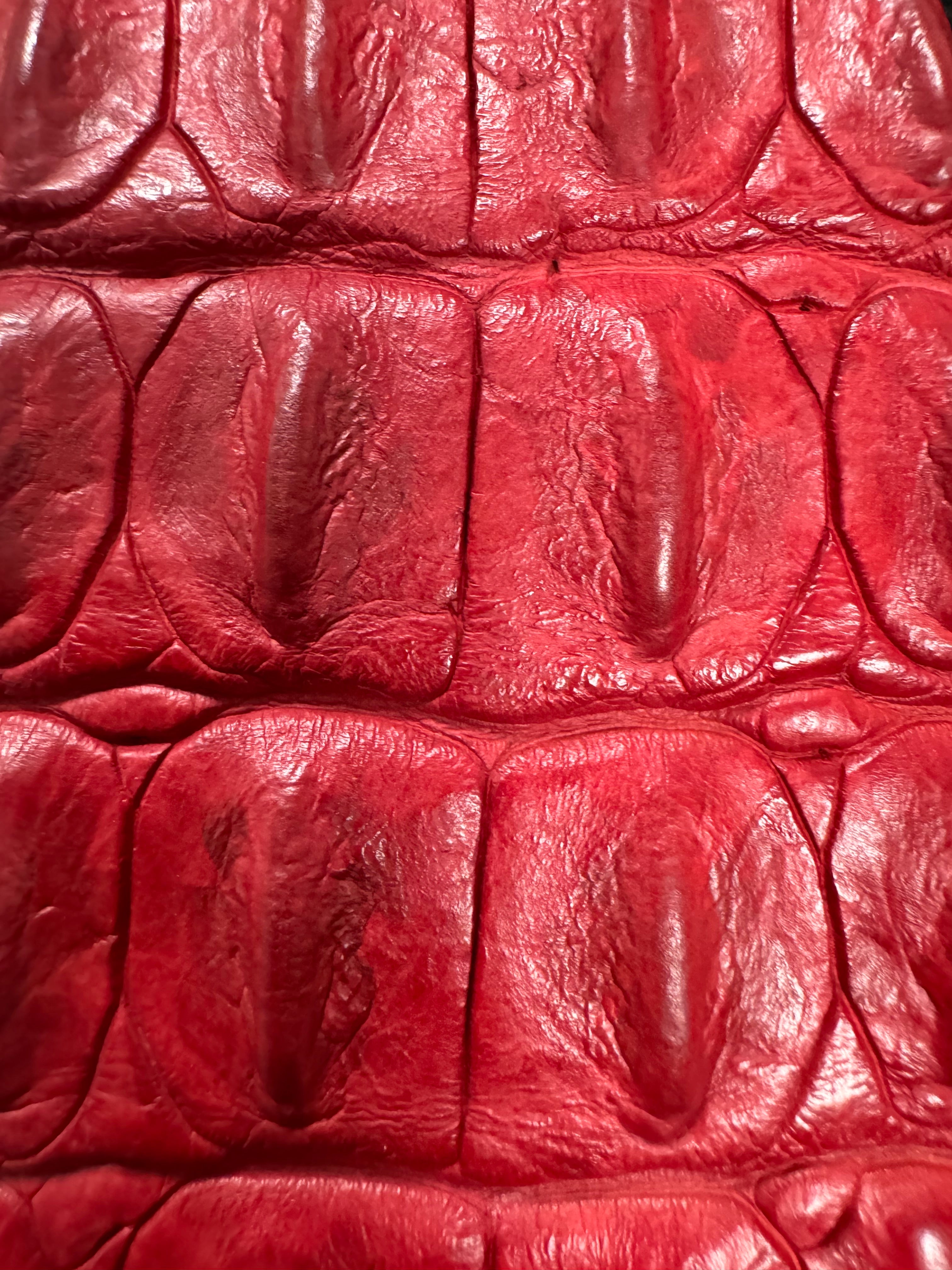 SS2005 Roberto Cavalli Blood Red Crocodile Leather Belt (OS)