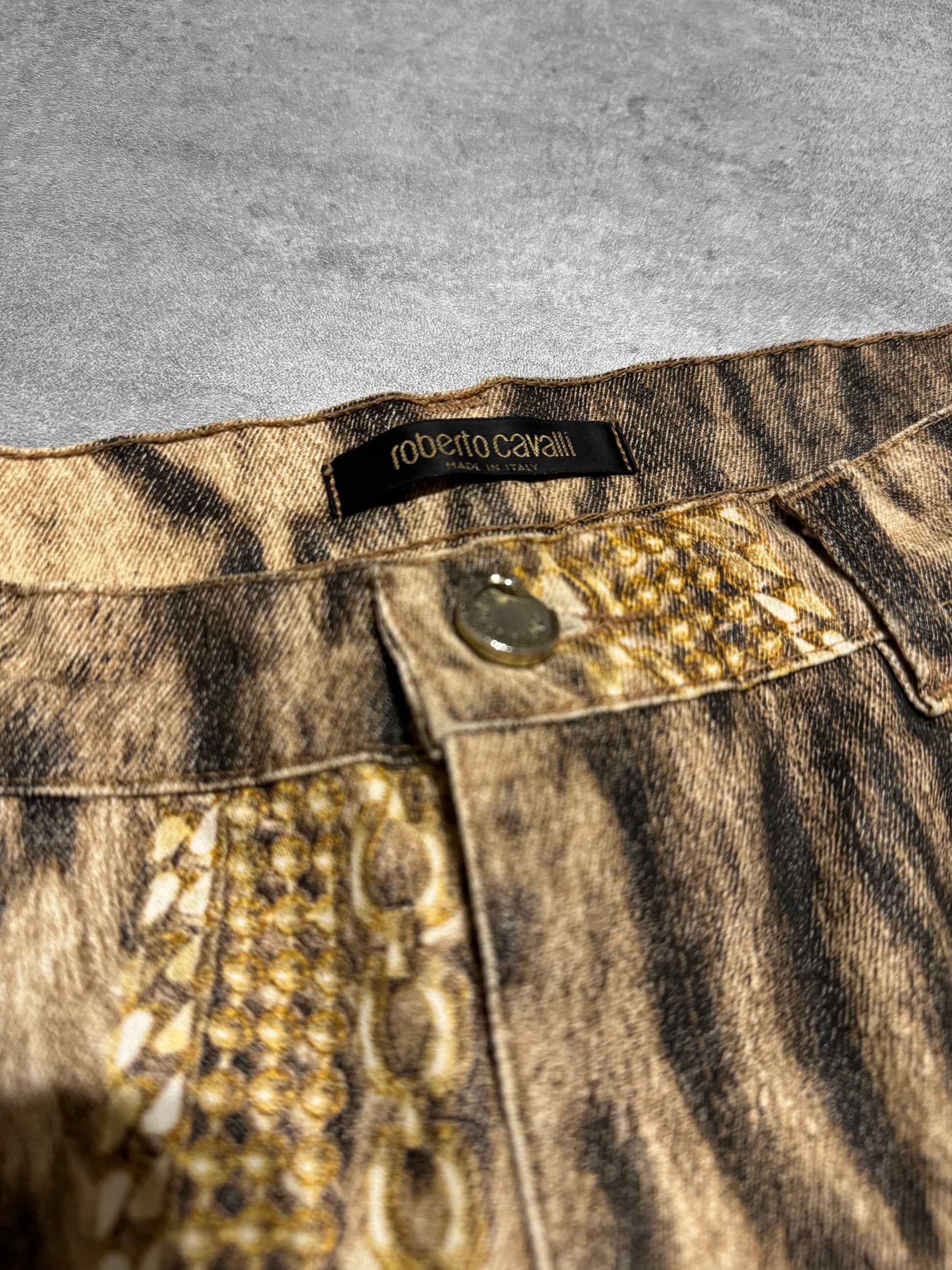 FW2003 Roberto Cavalli Gold Legacy Leopard Pants  (M) - 8