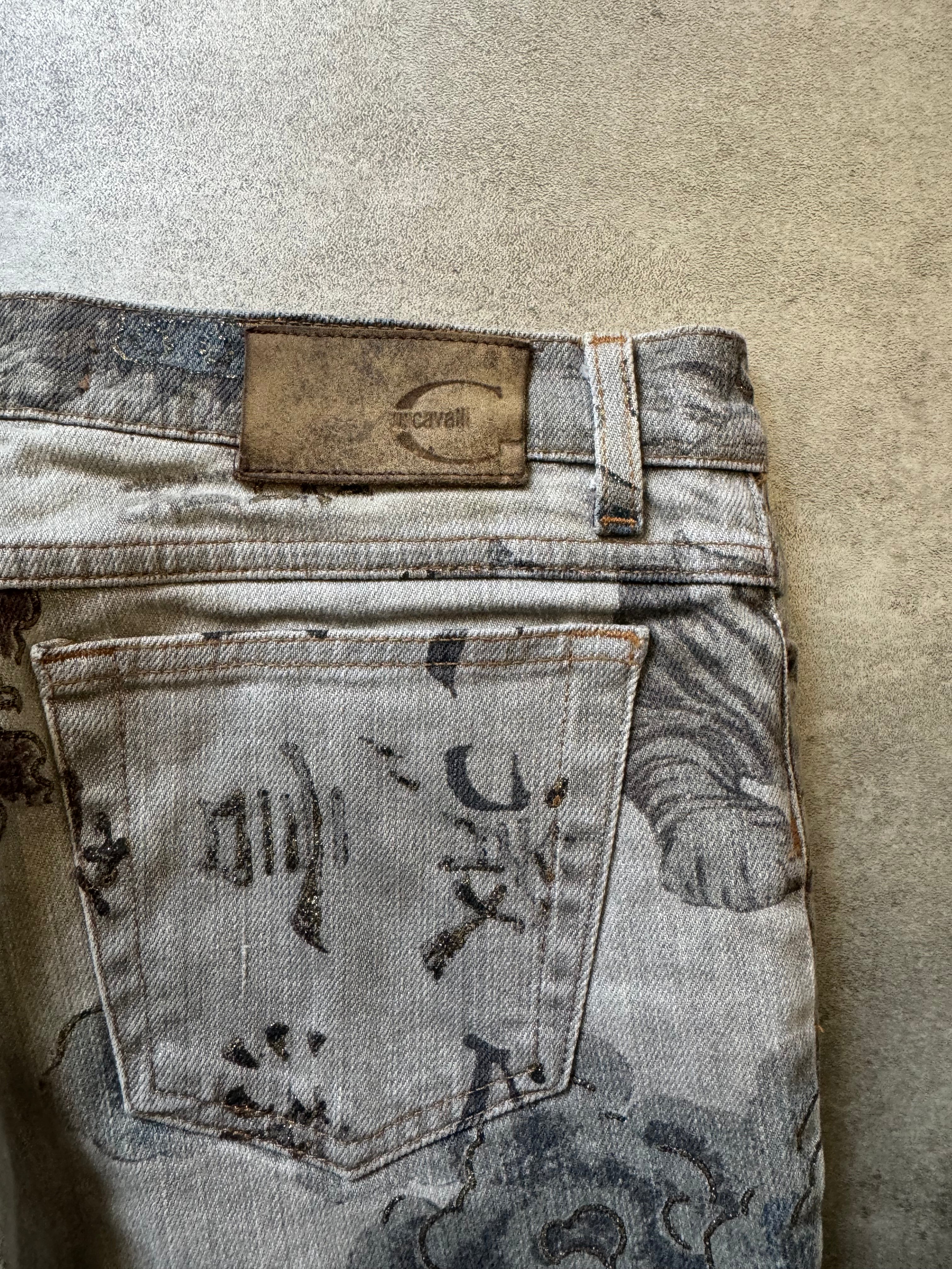 AW2003 Cavalli Asian World Grey Pants  (XS) - 4