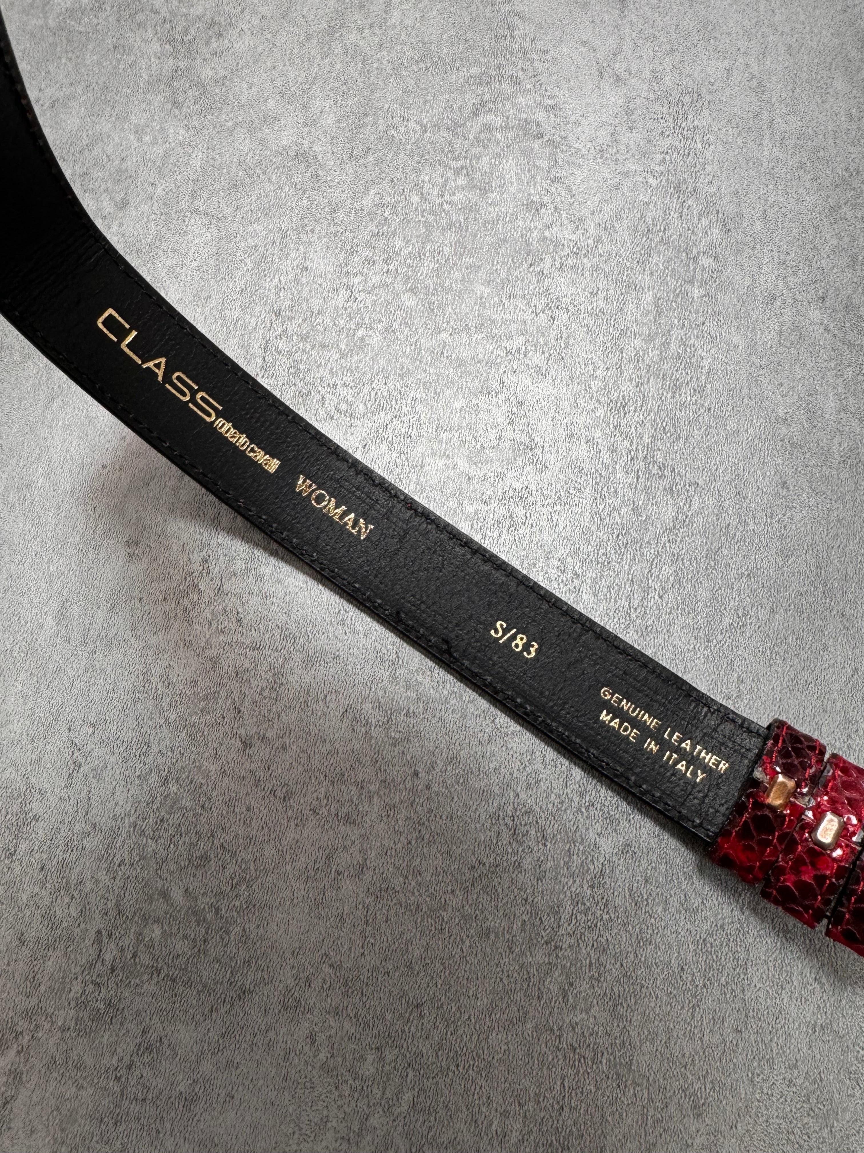 Roberto Cavalli Class Embellished Insect Belt