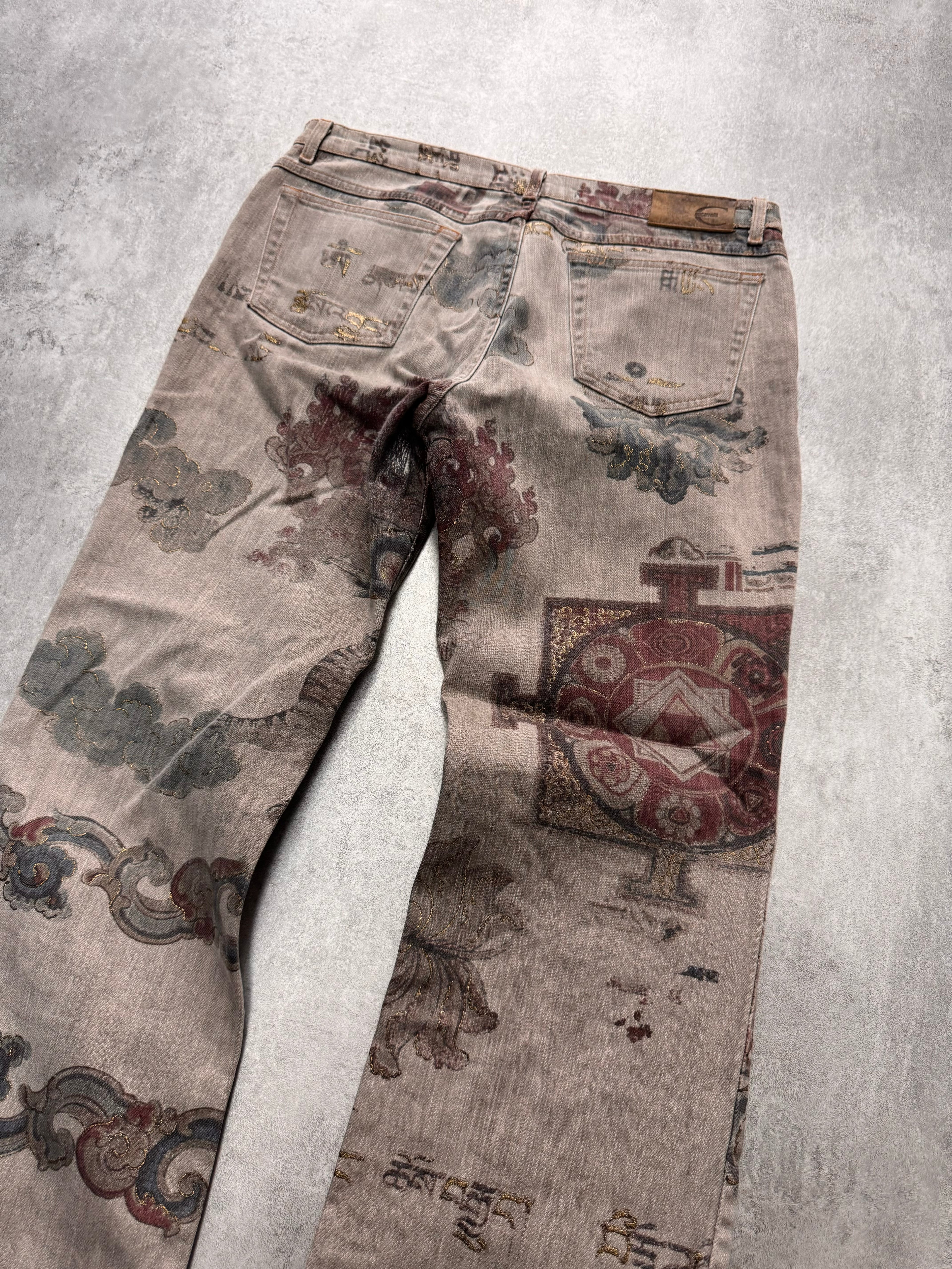 AW2003 Cavalli Asian World Grey Pants