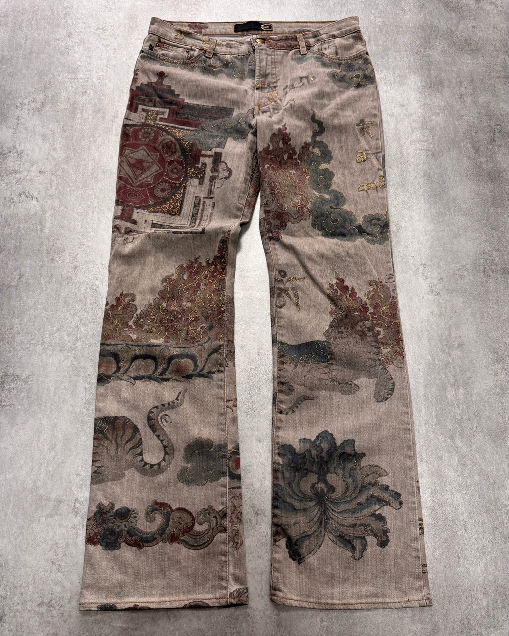 AW2003 Cavalli Asian World Grey Pants