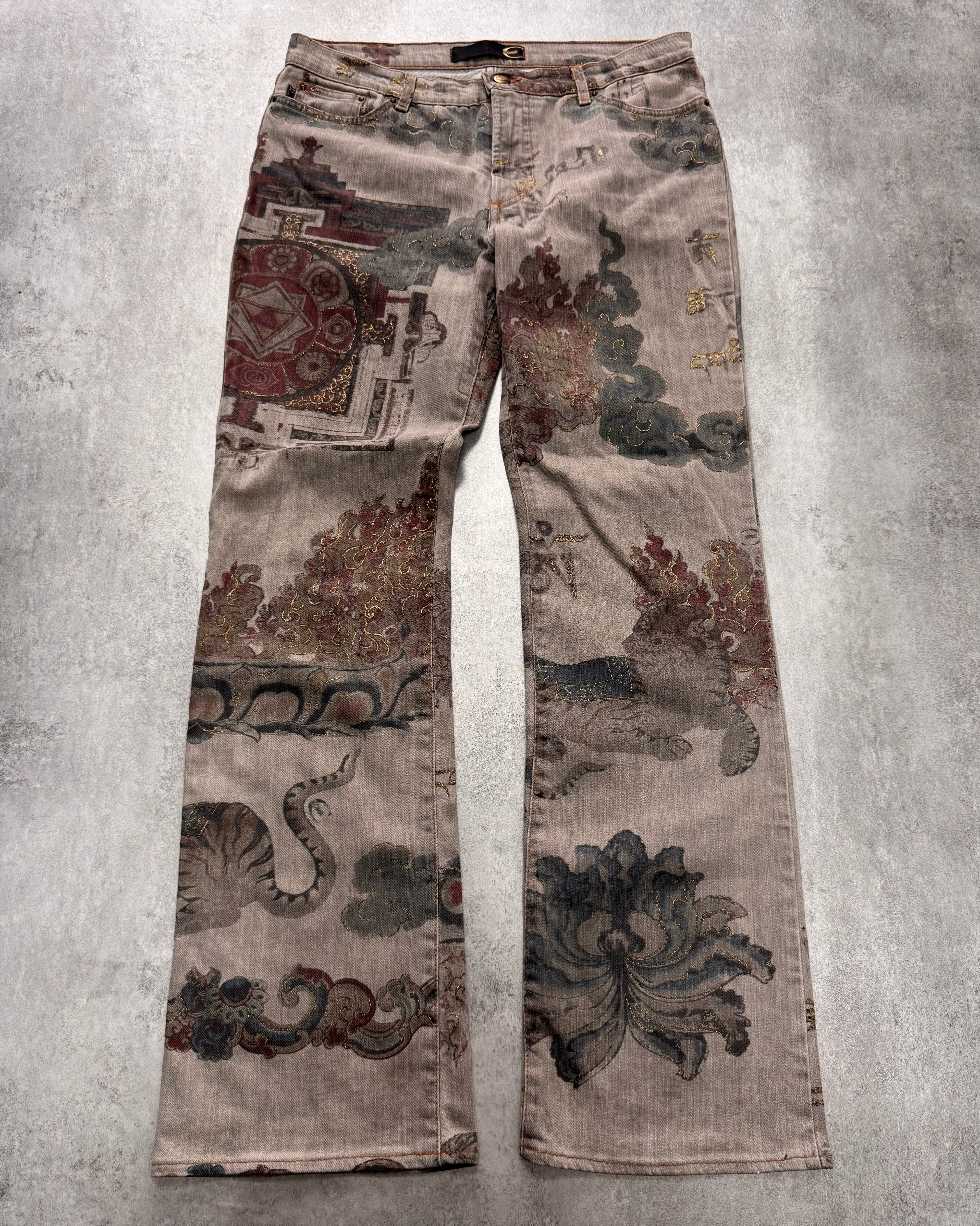AW2003 Cavalli Asian World Grey Pants