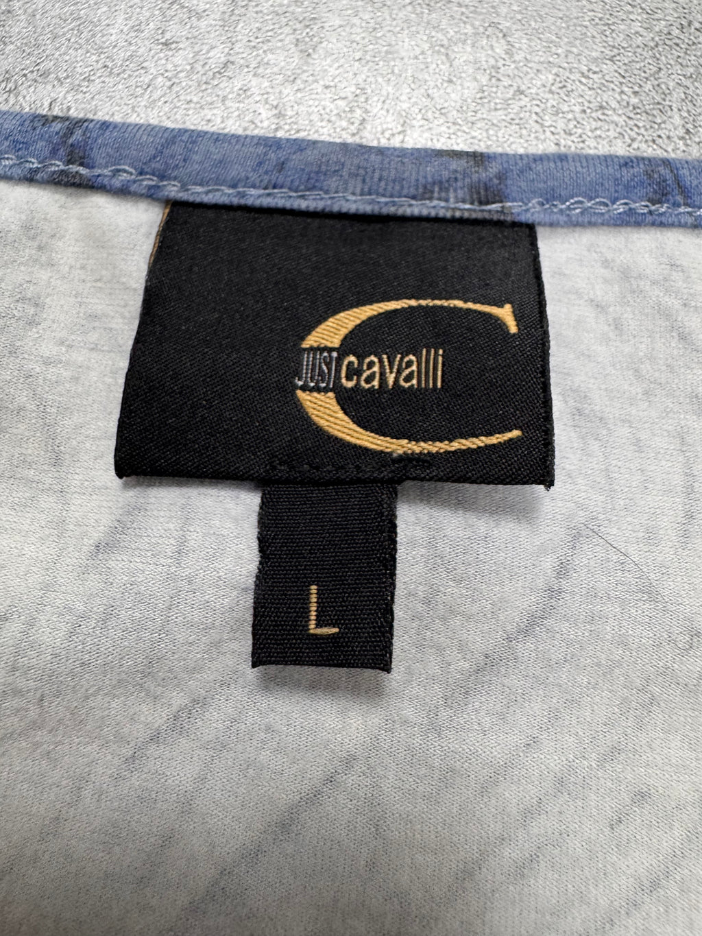 SS2002 Cavalli Crocodile Blue Sky & Sand Longsleeve