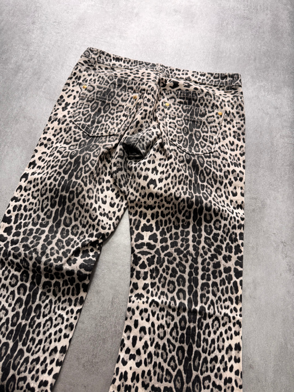 Roberto Cavalli x H&M Panther Pants
