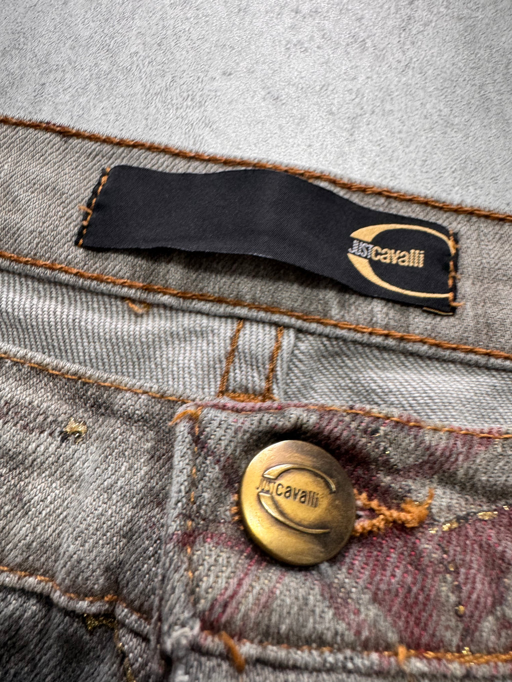 AW2003 Cavalli Asian World Grey Pants